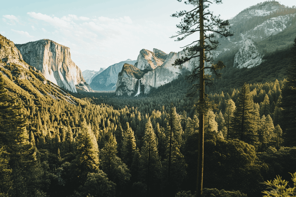 california